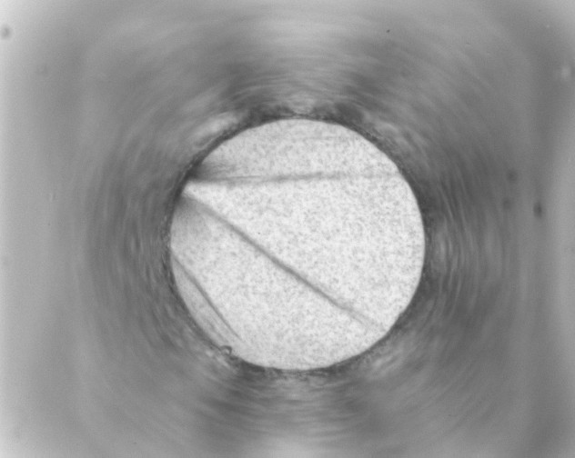 X0000088651105200706221603