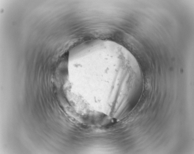 X0000088651108200706221603