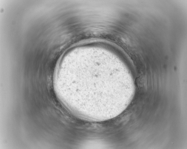 X0000088651109200706221603