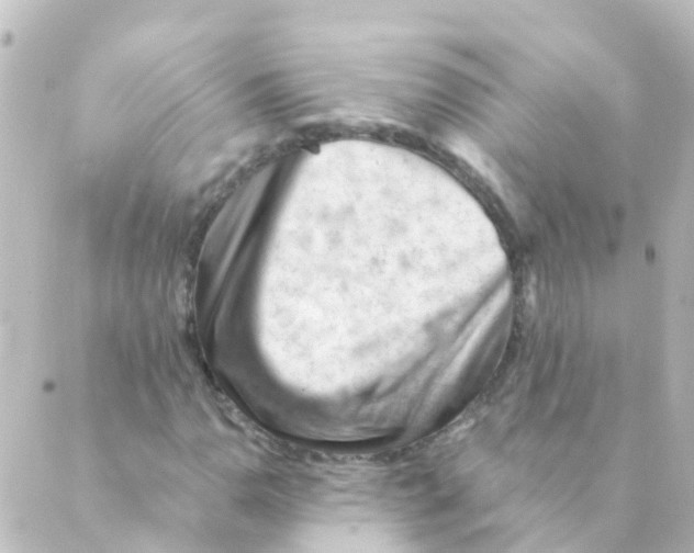 X0000088651110200706221603