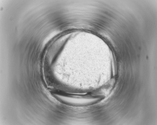 X0000088651114200706221603