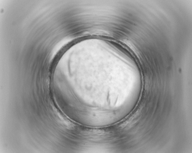 X0000088651115200706221603