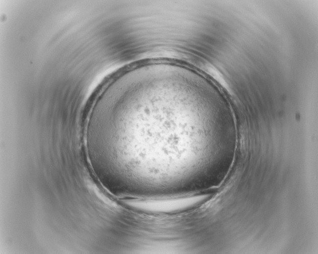 X0000088651116200706221603