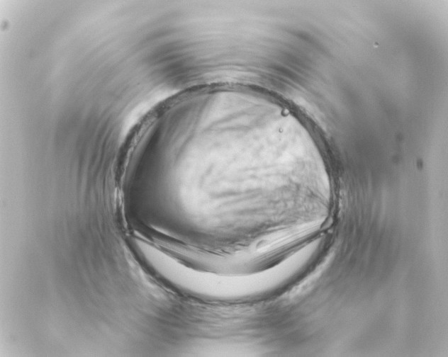 X0000088651117200706221604