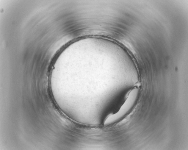 X0000088651119200706221604