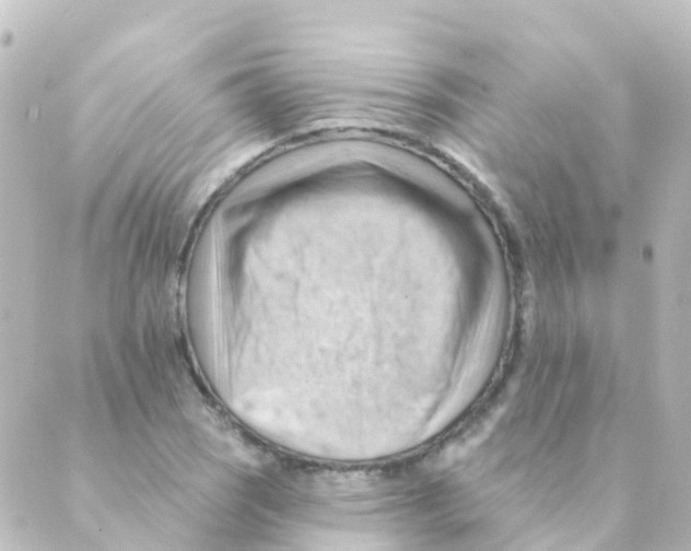 X0000088651121200706221604