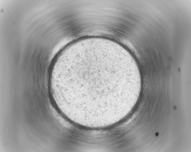 X0000088651122200706221604