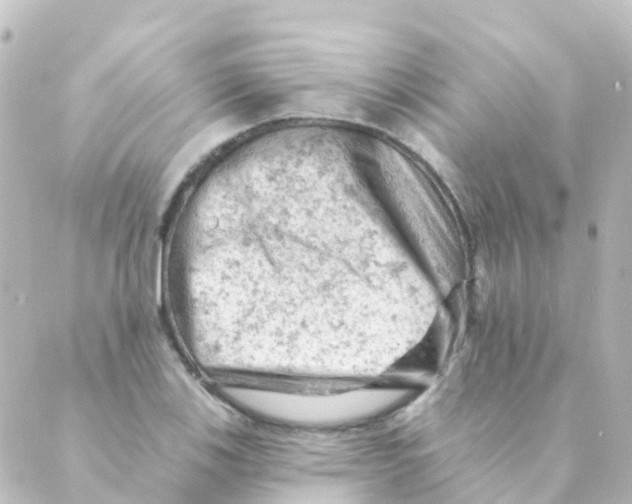 X0000088651123200706221604