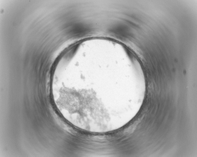 X0000088651126200706221604