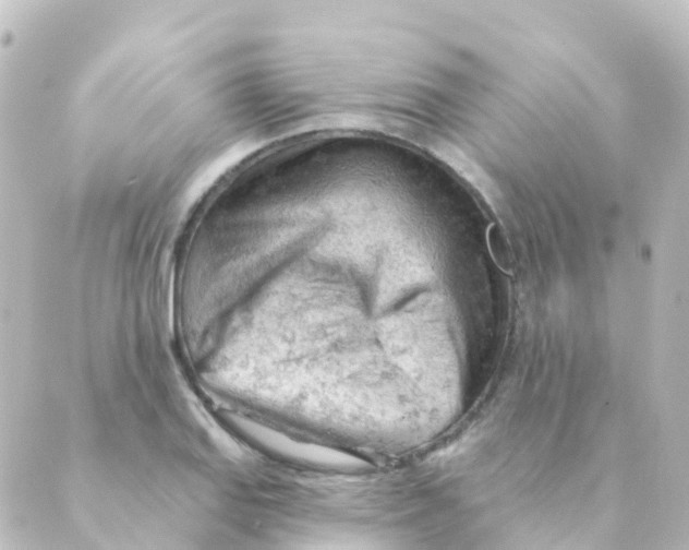 X0000088651127200706221604