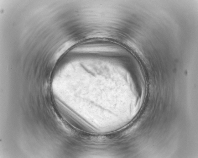 X0000088651129200706221604