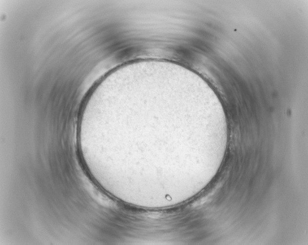 X0000088651130200706221604