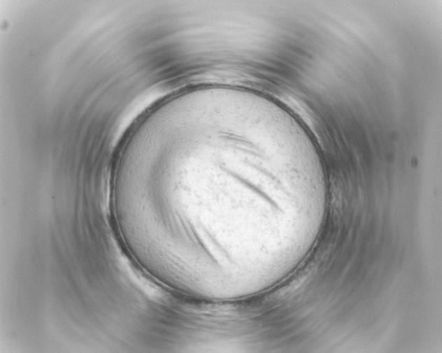 X0000088651131200706221604