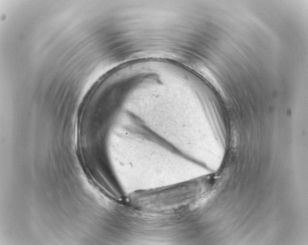 X0000088651132200706221604