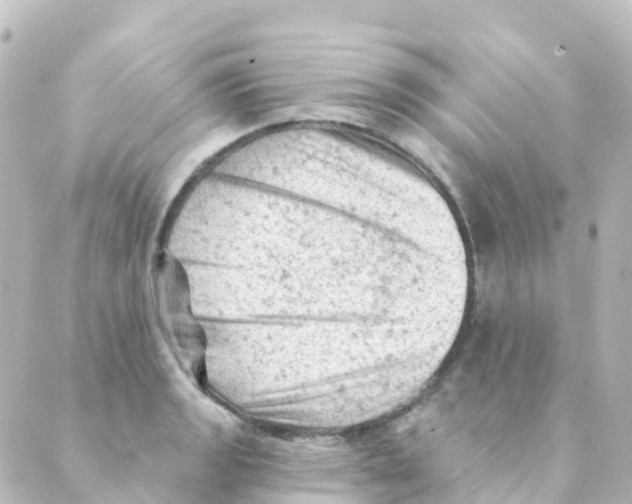 X0000088651133200706221604