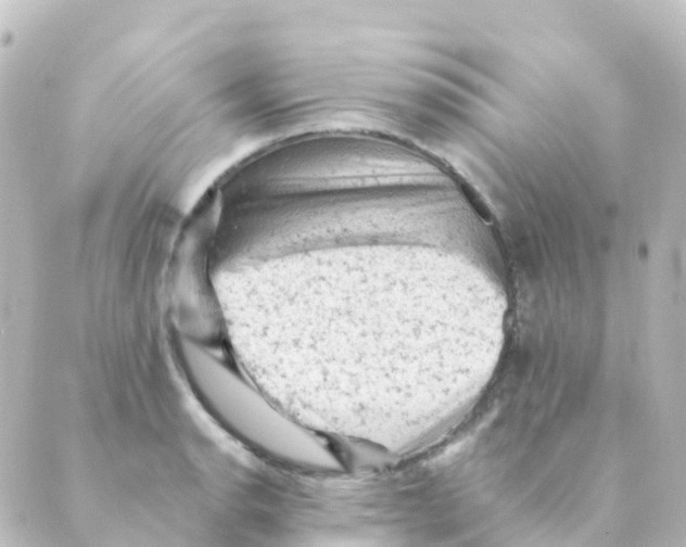 X0000088651134200706221604