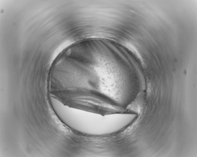 X0000088651138200706221604