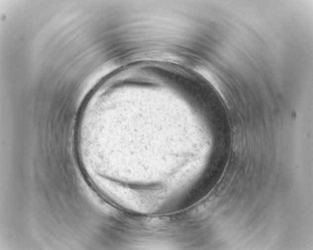 X0000088651139200706221604