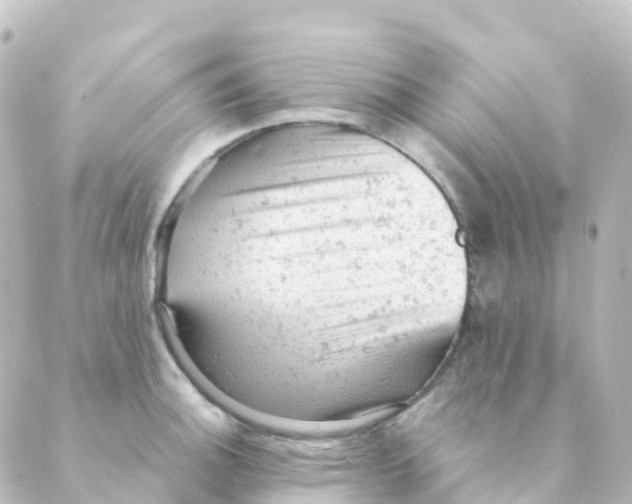 X0000088651140200706221604