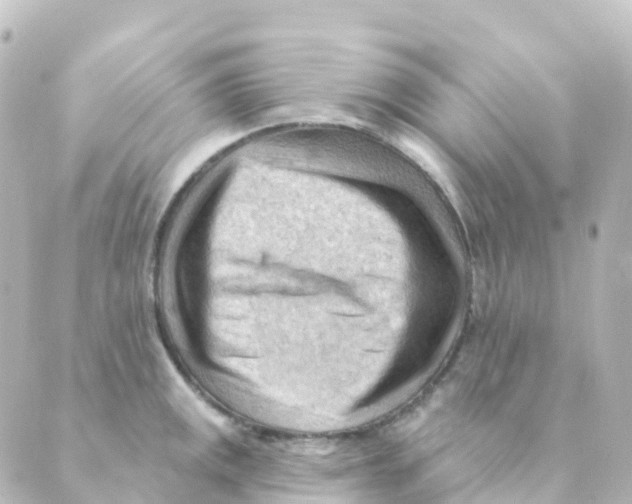 X0000088651141200706221604