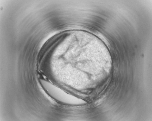 X0000088651142200706221604