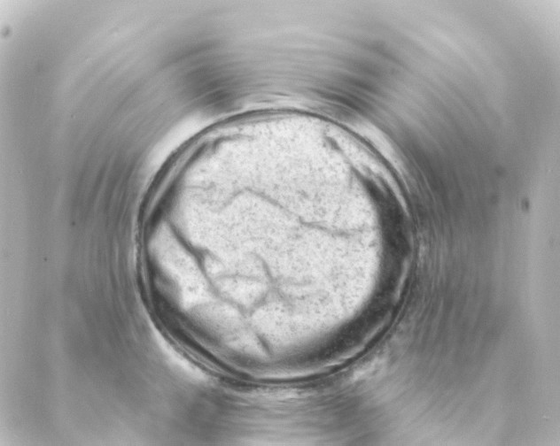 X0000088651143200706221604