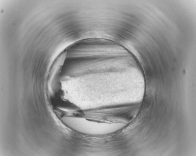 X0000088651144200706221604