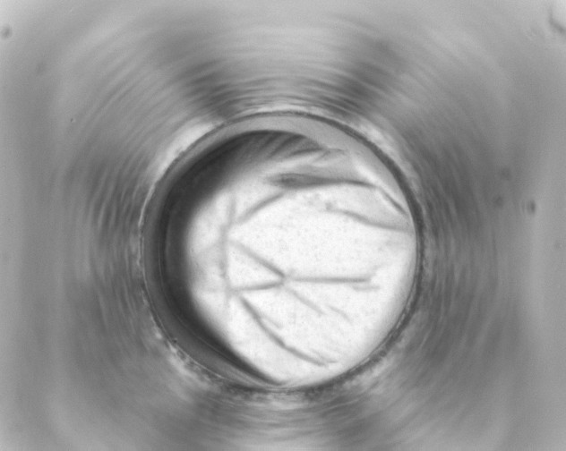 X0000088651145200706221604