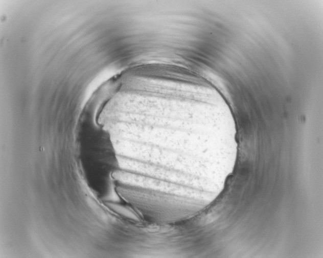 X0000088651146200706221604