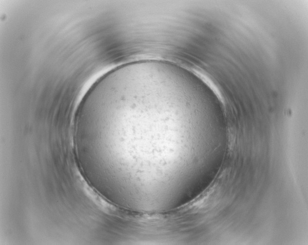 X0000088651148200706221604