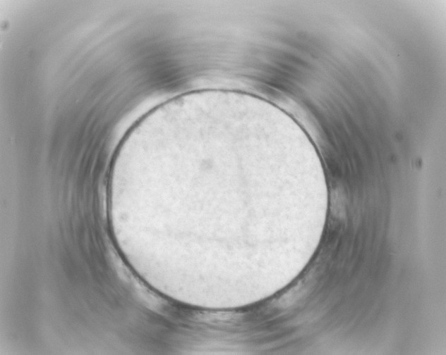 X0000088651150200706221604