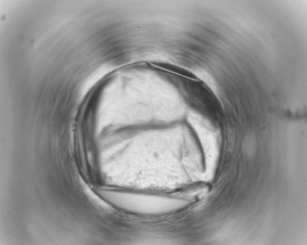 X0000088651151200706221604