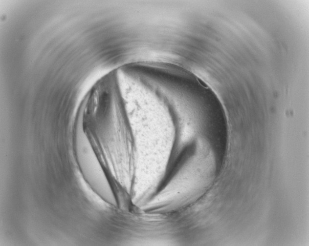 X0000088651152200706221604