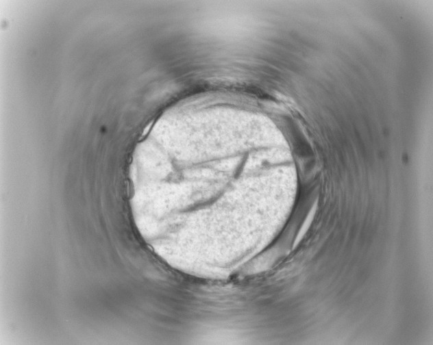 X0000088651153200706221603