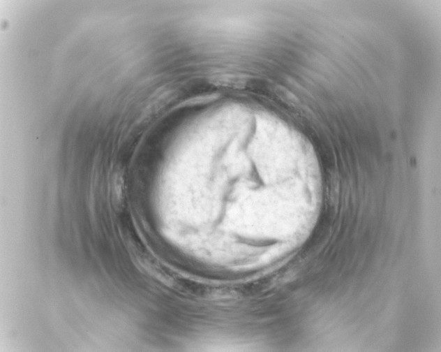 X0000088651154200706221603