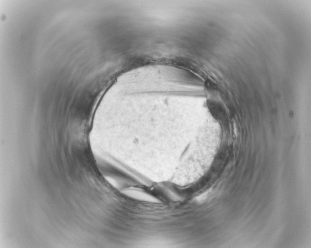 X0000088651156200706221603