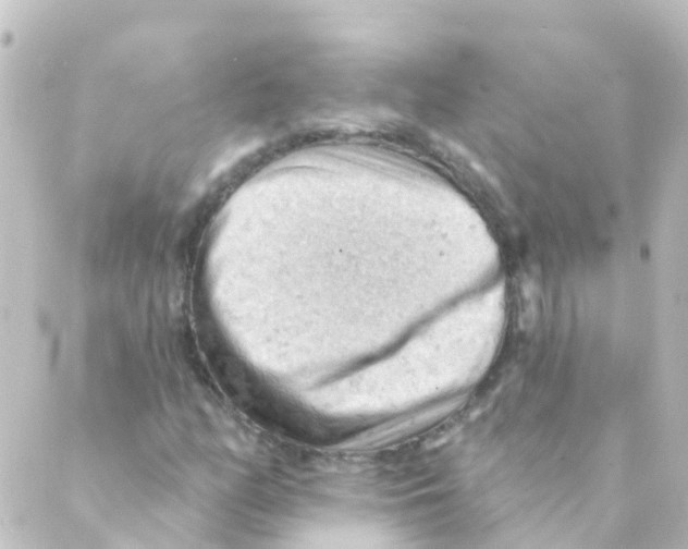 X0000088651158200706221603