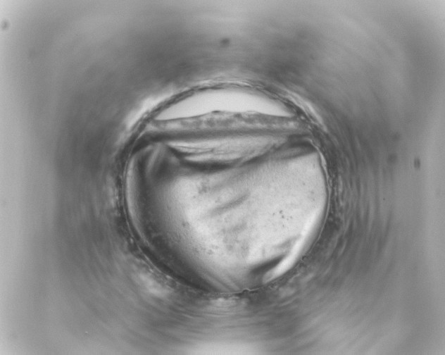 X0000088651160200706221603