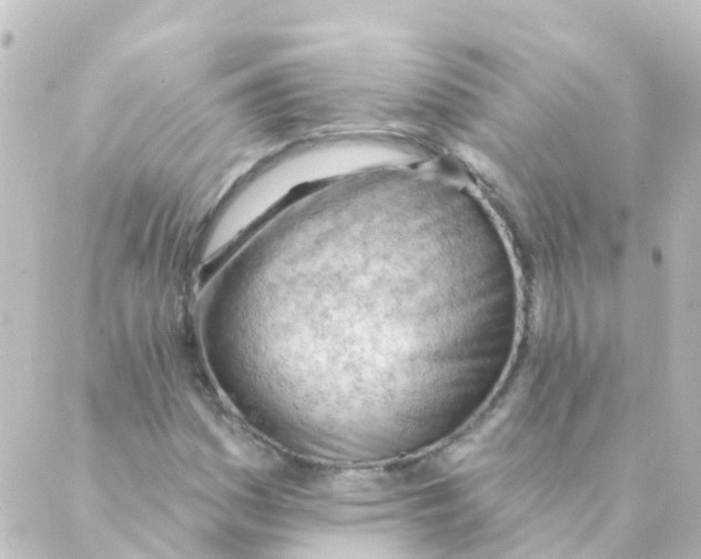 X0000088651161200706221603