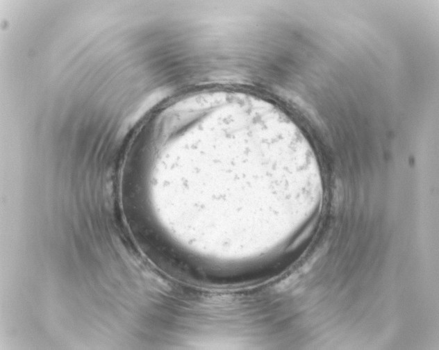 X0000088651162200706221603