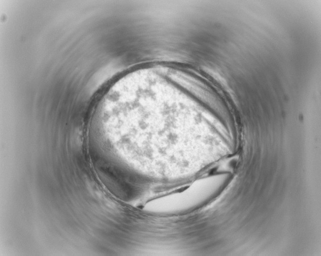 X0000088651163200706221603