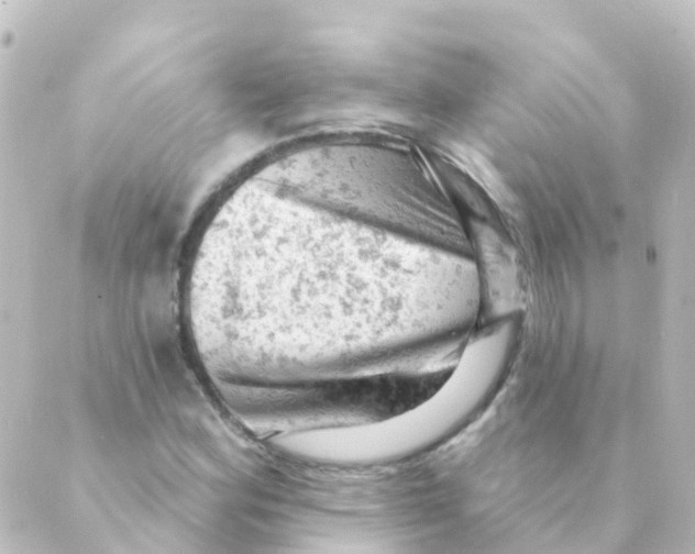 X0000088651164200706221603