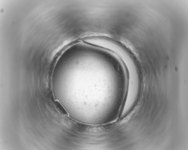 X0000088651165200706221603