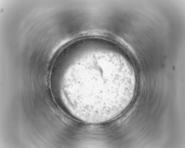 X0000088651166200706221603