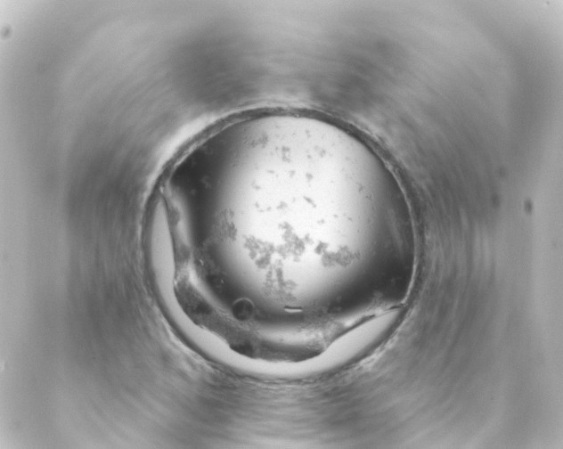 X0000088651168200706221603