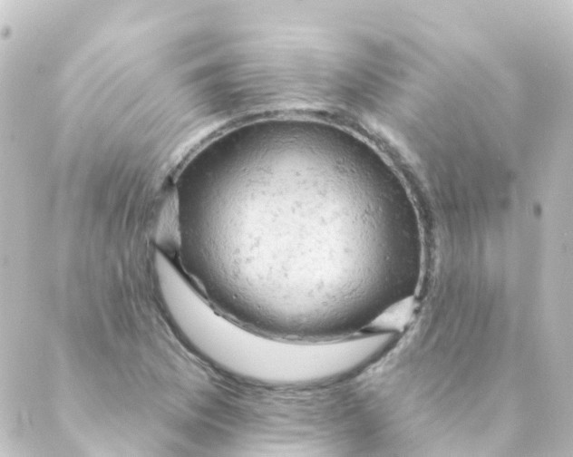 X0000088651169200706221603