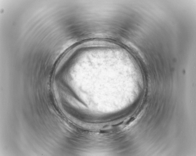 X0000088651170200706221603