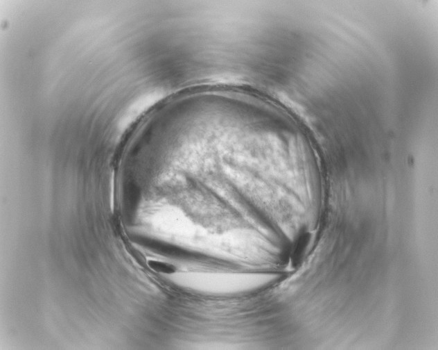 X0000088651171200706221603