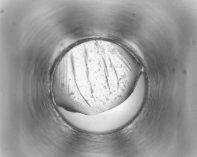 X0000088651172200706221603