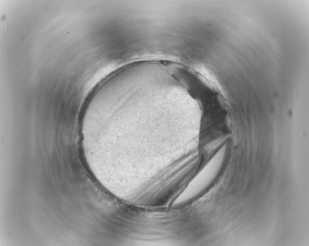 X0000088651173200706221603